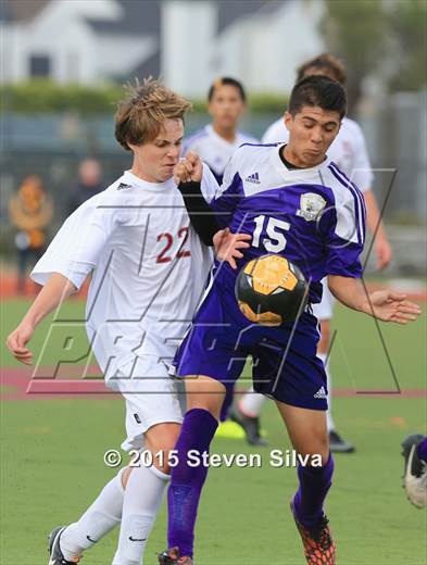 null - Photo 31