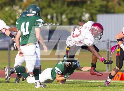 Thumbnail 3 in Sachem East @ William Floyd photogallery.