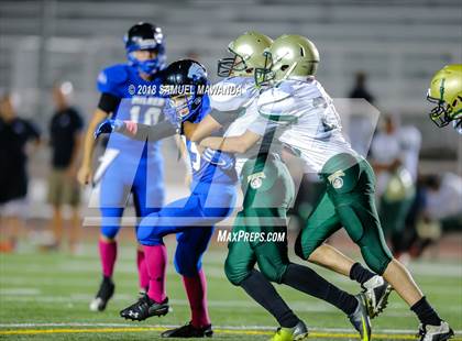 Thumbnail 1 in Milken vs Blair photogallery.
