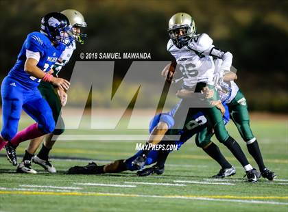 Thumbnail 1 in Milken vs Blair photogallery.