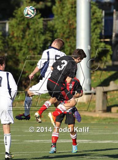 null - Photo 41