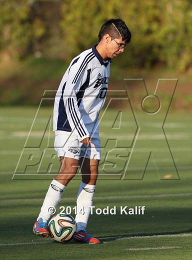 null - Photo 01