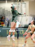 Photo from the gallery "Fenton @ Notre Dame Prep"