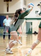 Photo from the gallery "Fenton @ Notre Dame Prep"