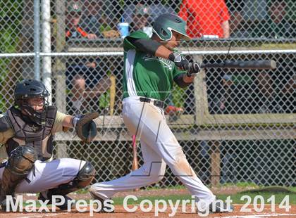 Thumbnail 1 in 2014 Steve Georgiadis Memorial Tournament photogallery.