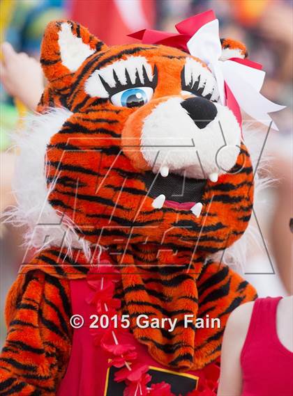 Thumbnail 1 in Brentwood Academy @ Baylor photogallery.