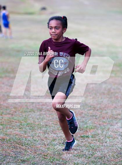 Thumbnail 1 in Onslow County Championship photogallery.