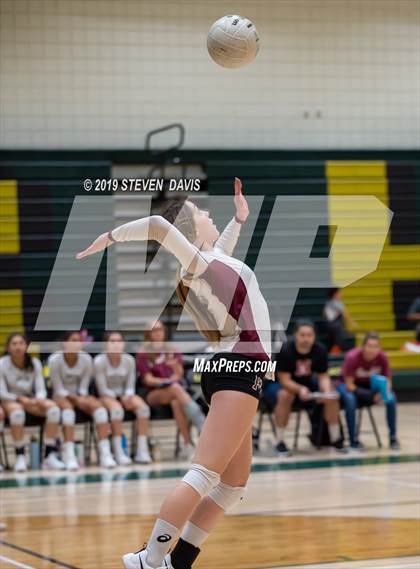 Thumbnail 3 in Hamilton vs Basha photogallery.
