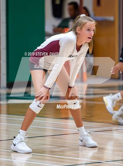 Thumbnail 1 in Hamilton vs Basha photogallery.