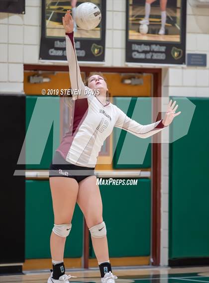 Thumbnail 1 in Hamilton vs Basha photogallery.