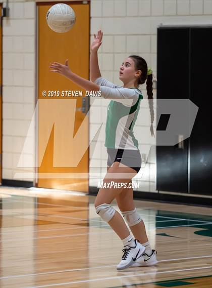 Thumbnail 3 in Hamilton vs Basha photogallery.