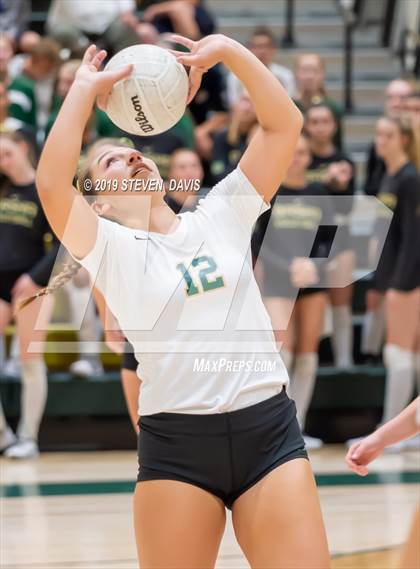 Thumbnail 2 in Hamilton vs Basha photogallery.