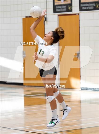 Thumbnail 1 in Hamilton vs Basha photogallery.