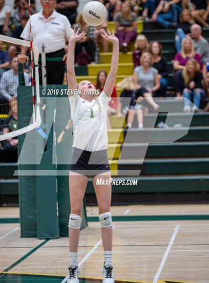 Thumbnail 2 in Hamilton vs Basha photogallery.
