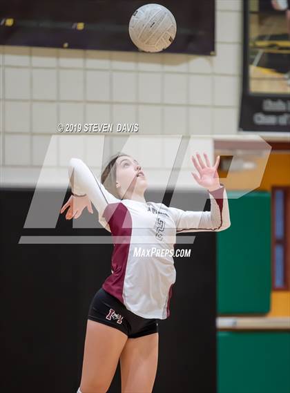 Thumbnail 3 in Hamilton vs Basha photogallery.