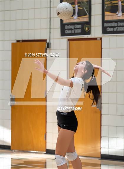 Thumbnail 2 in Hamilton vs Basha photogallery.