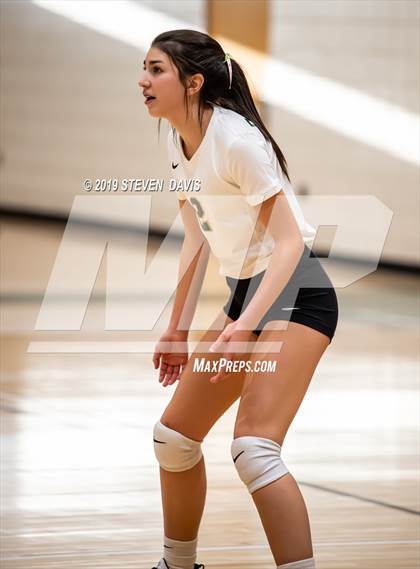 Thumbnail 1 in Hamilton vs Basha photogallery.