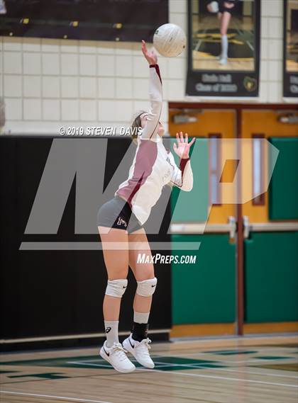 Thumbnail 1 in Hamilton vs Basha photogallery.