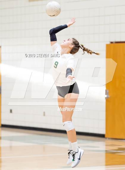 Thumbnail 3 in Hamilton vs Basha photogallery.