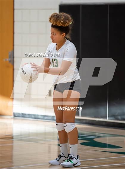 Thumbnail 3 in Hamilton vs Basha photogallery.