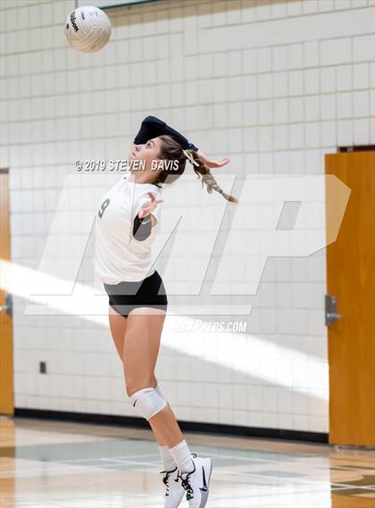 Thumbnail 3 in Hamilton vs Basha photogallery.