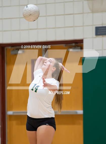 Thumbnail 3 in Hamilton vs Basha photogallery.
