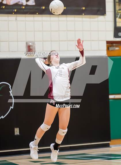Thumbnail 1 in Hamilton vs Basha photogallery.