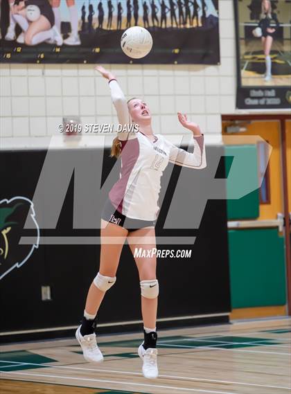 Thumbnail 3 in Hamilton vs Basha photogallery.
