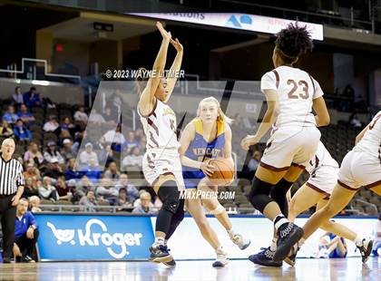 Thumbnail 1 in Newport Central Catholic vs Cooper (2023 9th Region Girls Basketball Tournament) photogallery.
