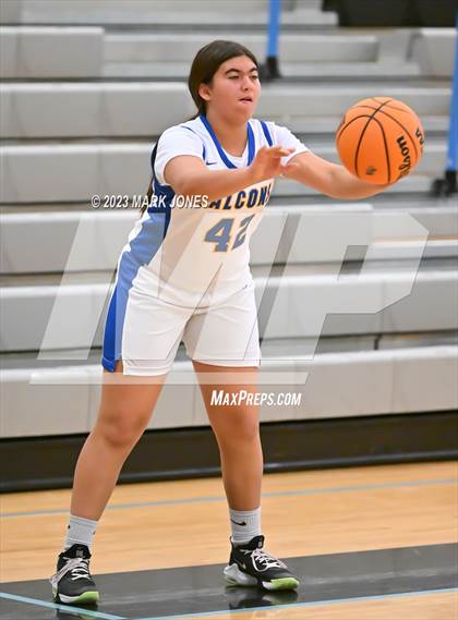 Thumbnail 1 in Carl Hayden Community vs. Crismon (Lady Wolves Court Classic) photogallery.
