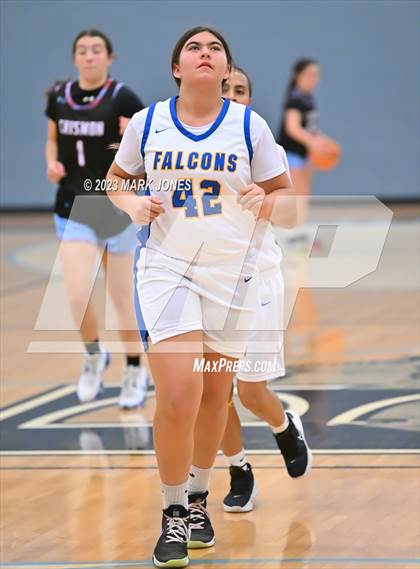 Thumbnail 1 in Carl Hayden Community vs. Crismon (Lady Wolves Court Classic) photogallery.