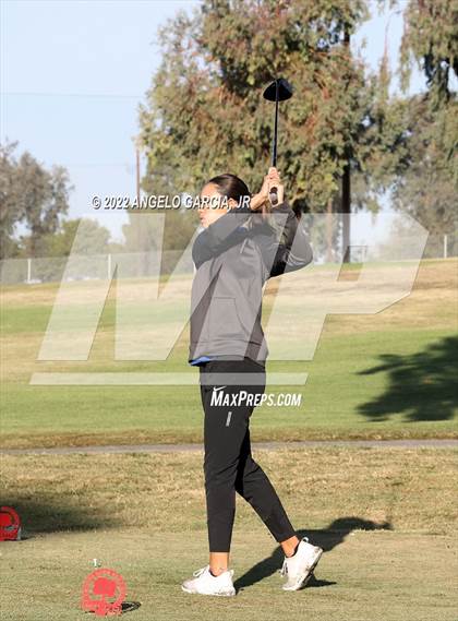 Thumbnail 1 in Bay Valley Athletic League Championship photogallery.