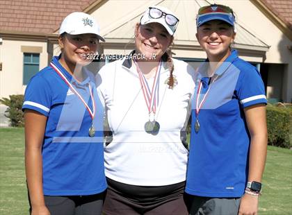 Thumbnail 1 in Bay Valley Athletic League Championship photogallery.