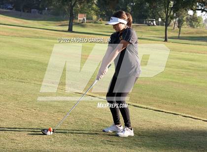 Thumbnail 1 in Bay Valley Athletic League Championship photogallery.