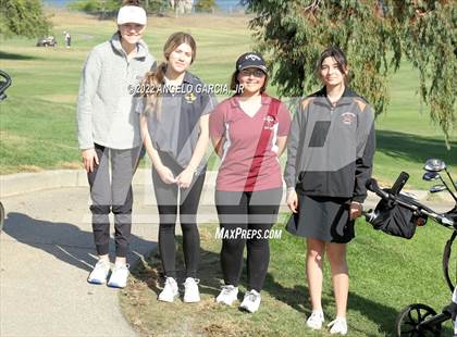 Thumbnail 1 in Bay Valley Athletic League Championship photogallery.