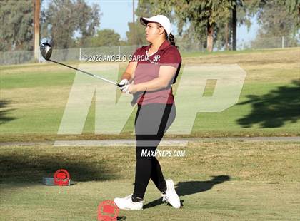 Thumbnail 1 in Bay Valley Athletic League Championship photogallery.