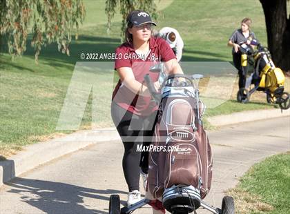 Thumbnail 2 in Bay Valley Athletic League Championship photogallery.