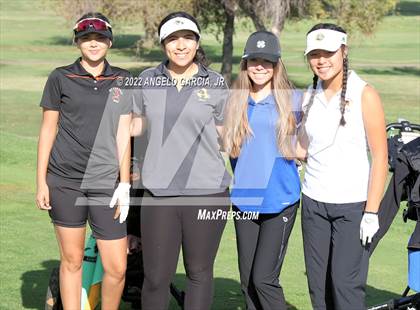 Thumbnail 1 in Bay Valley Athletic League Championship photogallery.