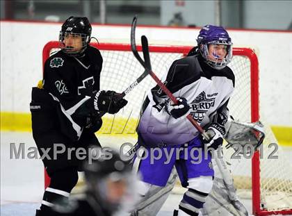Thumbnail 1 in New Milford @ North Branford photogallery.