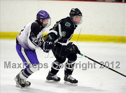 Thumbnail 1 in New Milford @ North Branford photogallery.