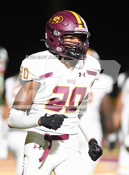 Thumbnail 2 in Campo Verde @ Mountain Pointe photogallery.