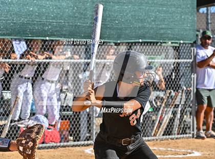 Thumbnail 1 in Lakewood vs Bear Creek photogallery.