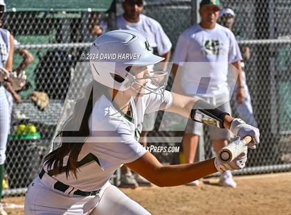 Thumbnail 1 in Lakewood vs Bear Creek photogallery.