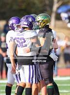 Photo from the gallery "Petaluma @ Casa Grande (Egg Bowl)"