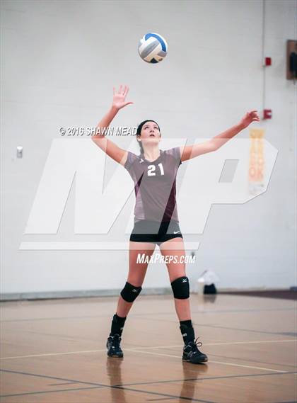Thumbnail 2 in Fennville @ Watervliet photogallery.