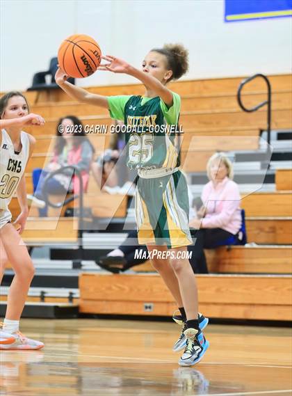 Thumbnail 2 in White Oak @ Croatan photogallery.