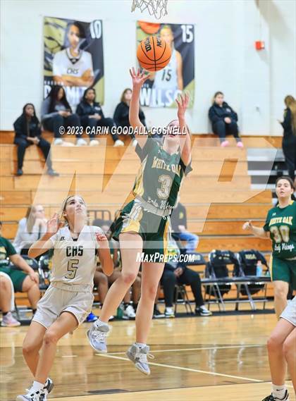 Thumbnail 1 in White Oak @ Croatan photogallery.