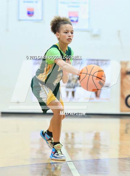 Thumbnail 1 in White Oak @ Croatan photogallery.