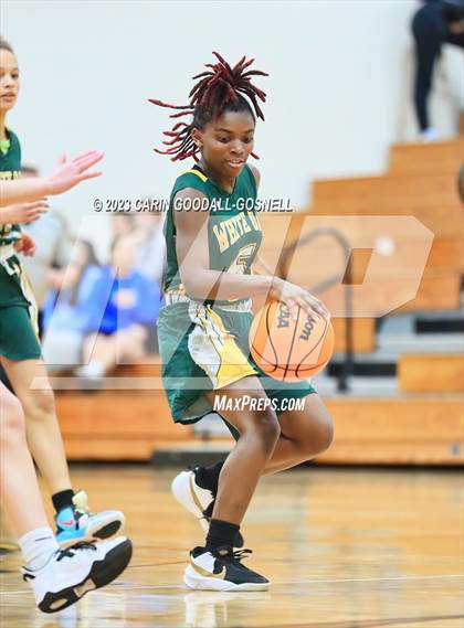 Thumbnail 1 in White Oak @ Croatan photogallery.