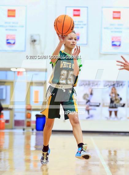 Thumbnail 1 in White Oak @ Croatan photogallery.